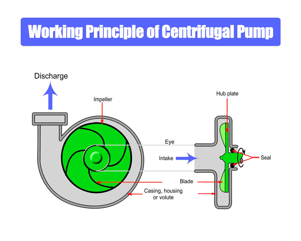 Principle And Function Of Vacuum Pumps
