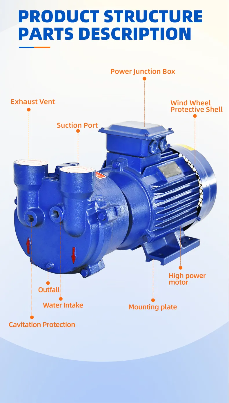 Water Ring Pumps: Working Principle, Components, And Applications