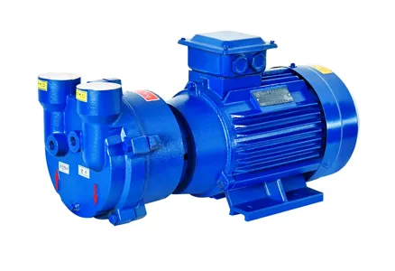 Water Ring Pumps: Working Principle, Components, And Applications